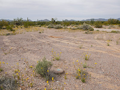 Looking NW toward Puerto Blanco Drive