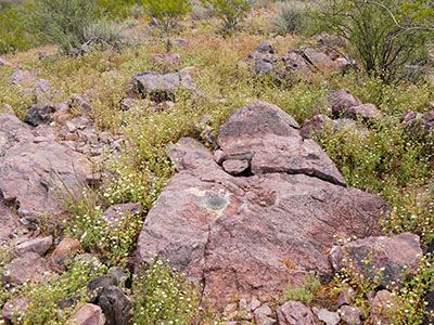 Eyelevel view of the triangulation station disk on outcrop