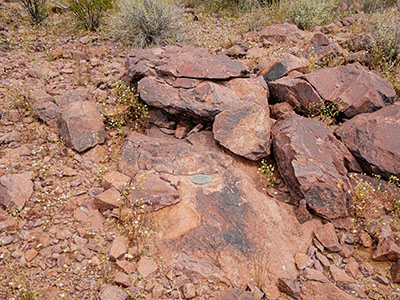 Eyelevel view of the disk on the outcrop