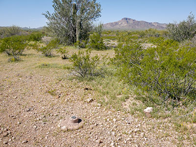 Looking NE, toward the mountains just north of Tillotson Peak