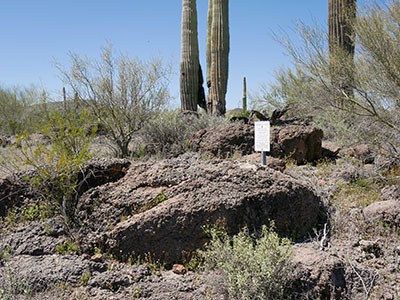 Eyelevel view of the disk on the rock outcrop