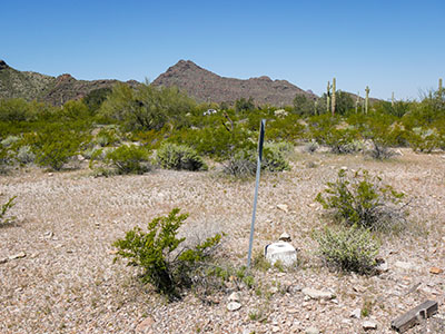 Looking W toward Route 85