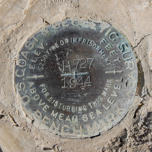 NGS Bench Mark Disk H 727