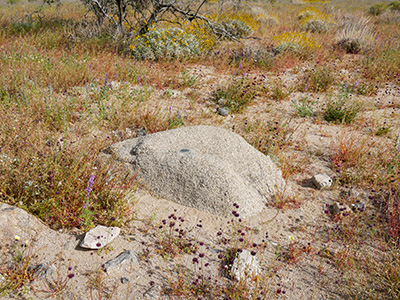 Eyelevel view of the disk on the boulder