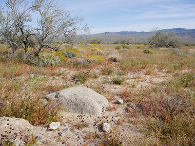 The boulder is quite easy to spot even from the road.