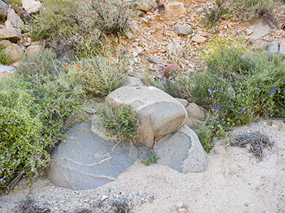 Eyelevel view of the gravity disk (and USGS disk) on boulder