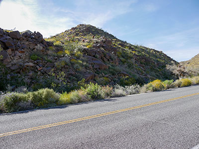 The marks are at the base of this outcrop.