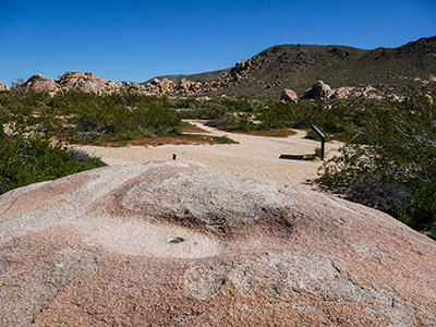 Looking NE toward Pinto Basin Road