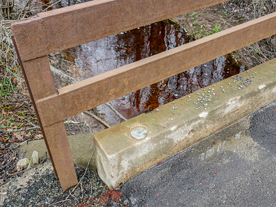 Eyelevel view of the disk on the bridge curb