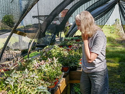 In the succulent greenhouse