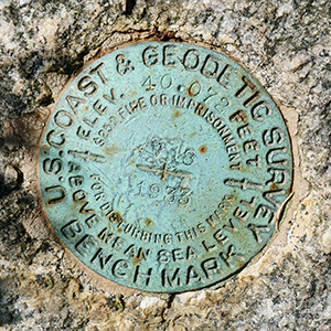 NGS Bench Mark Disk V 18