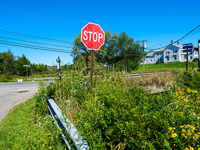 The monument is currently buried in vegetation just southeast of this stop sign.