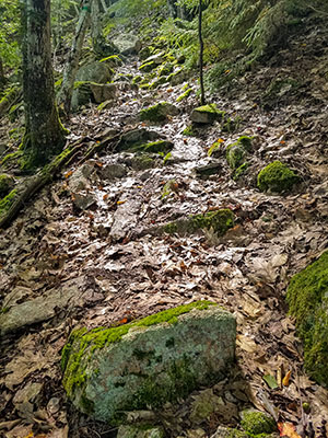 Abandoned steps on Kebo (from below)