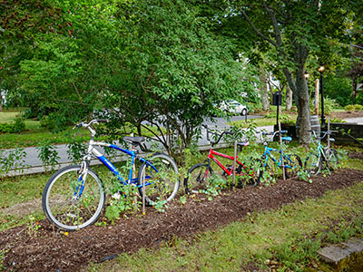 A bike 'garden'