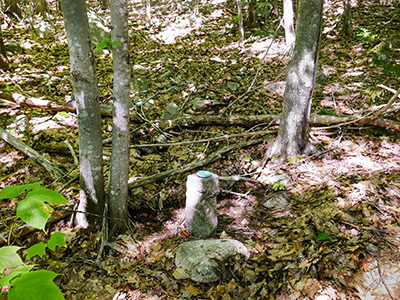 The post is solid and upright