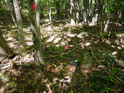 Eyelevel view of the mark, looking N
