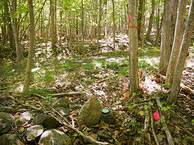 Looking S toward small path