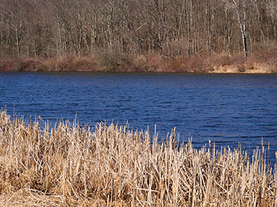 Layers of color at the pond