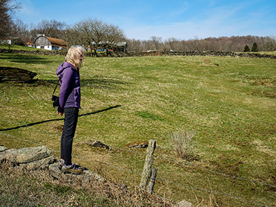 A farm scene