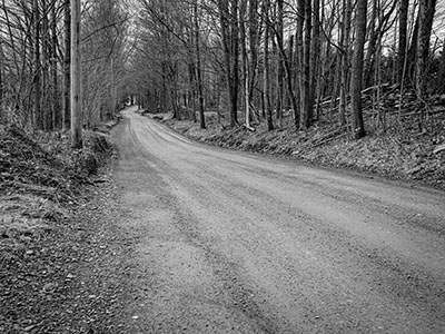 Taylor Road (looking downhill)