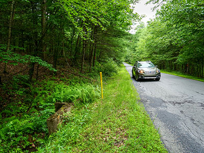 Looking NW along Masthope Plank Road, culvert on left