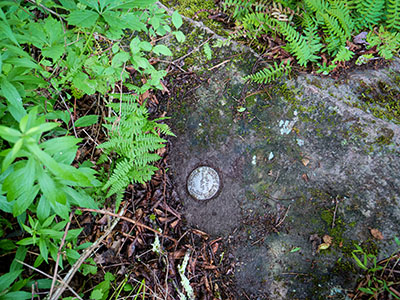 Eyelevel view of the disk on the boulder