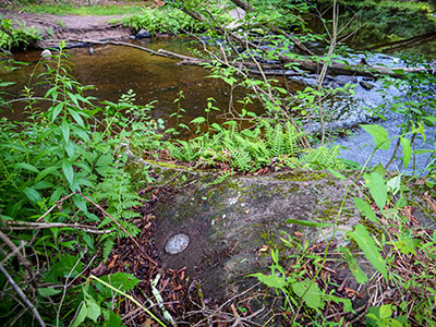 Looking S across Masthope Creek