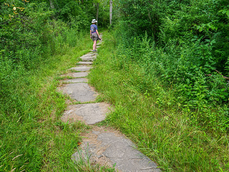 Nice stonework on the Turkey Hill Trail