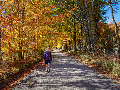 But there are some nice colors in fall, too.