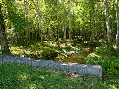 Looking S along Cromwell Brook