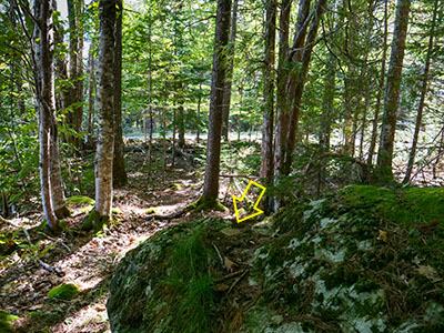 Eyelevel view of the mark; looking S toward Pretty Marsh Road