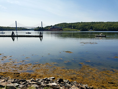 Looking across the Penobscot River toward the Penobscot Narrows Bridge and Fort Knox