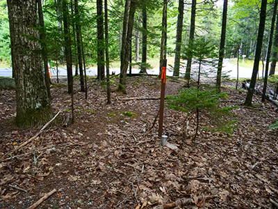 Looking SE toward the intersection of Stanley Brook Road and Jordan Pond Road