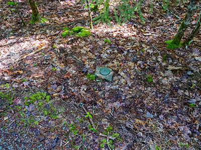 Eyelevel view of the disk set in the top of the granite post