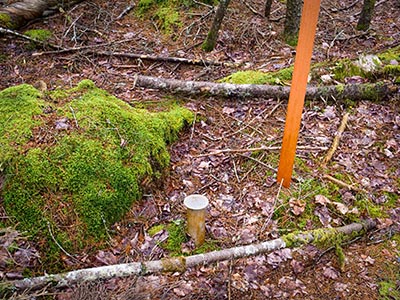 Eyelevel view of the disk on the pipe