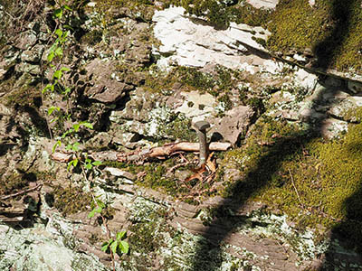 Large bolt embedded in ledge