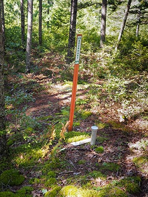 Eyelevel view of the disk on the pipe