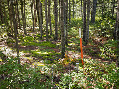 The monument and adjacent trail