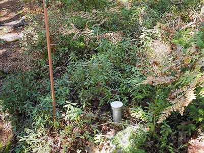 Eyelevel view of the disk on the pipe