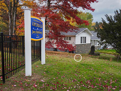 Looking from the park toward the nearby house