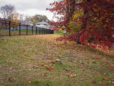 Eyelevel view of the disk, looking toward the park from the road