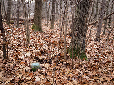 Looking SSE toward Roaring Brook