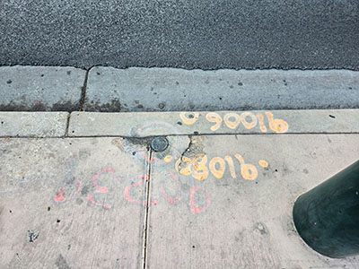 Eyelevel view of the disk at the outer edge of the sidewalk