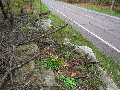 This is probably the correct boulder, but the top surface is completely covered.