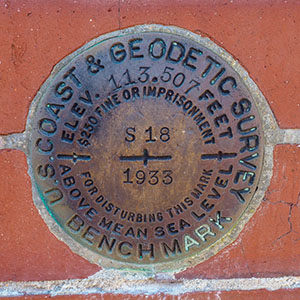 NGS Bench Mark Disk S 18