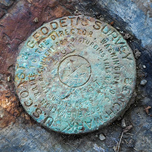 NGS Bench Mark Disk TIDAL 7 STA 31