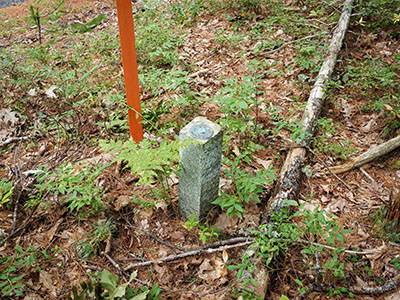 Eyelevel view of the disk on the granite post