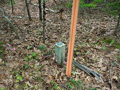 Eyelevel view of the disk on the granite post