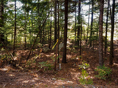 Looking S from Lurvey Spring Road toward the mark