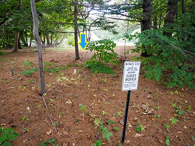 Mark indicated, showing proximity to witness post. White flag indicates invisible fence.